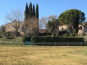 Podere Conte Ràcani Amelia